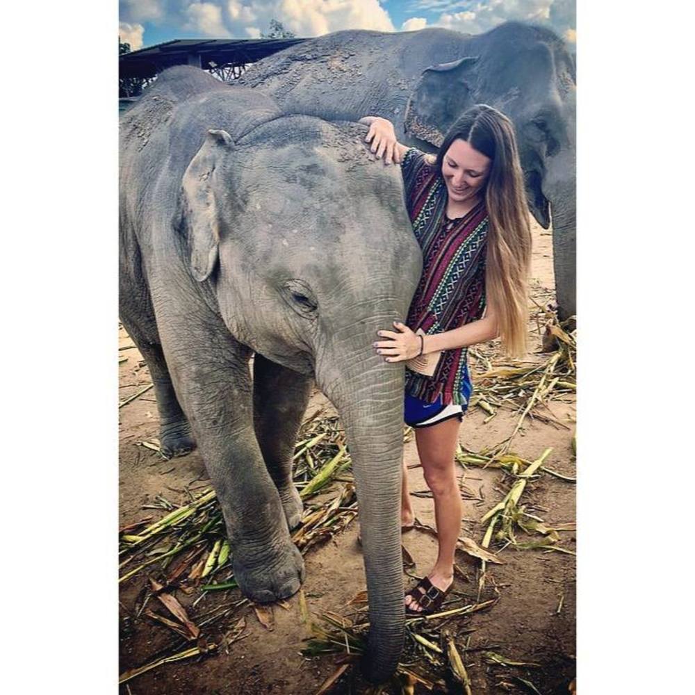 Meet your Posher, Taylor